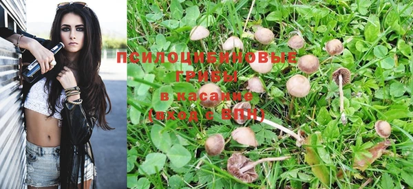 герыч Абаза