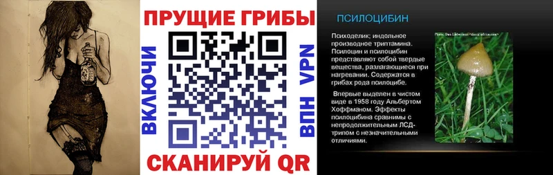 Псилоцибиновые грибы Magic Shrooms Ачхой-Мартан